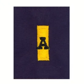 Coast Guard Auxiliary Jacket Tab: FCO/DCO