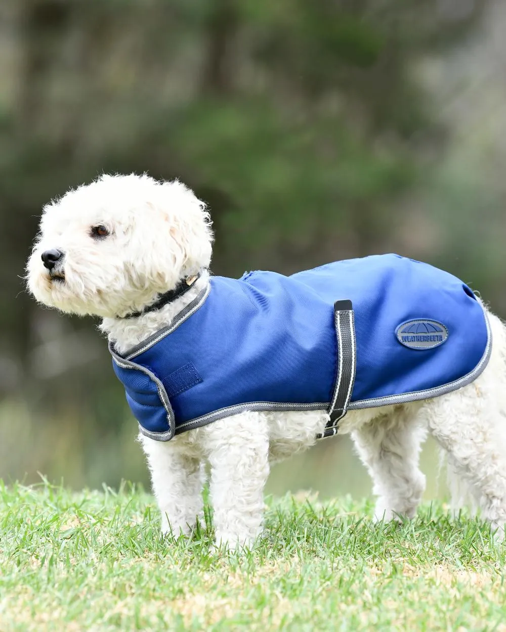 WeatherBeeta ComFiTec Windbreaker Free Dog Coat