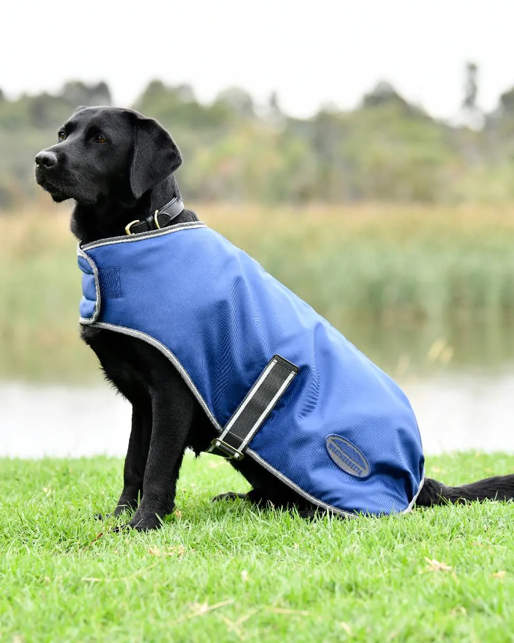 WeatherBeeta ComFiTec Windbreaker Free Dog Coat